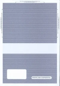Payslips Envelop